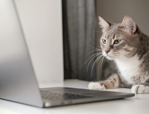 How to Extend the Life of Your Laptop